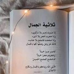 ابو محمود الصالحاني