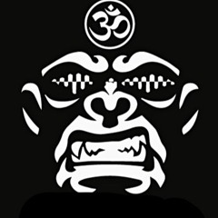 DIGITAL MONKEY