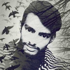 Muhaib