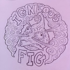 Igneous Fig