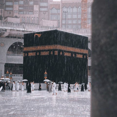 عابر سبيل🌿💛