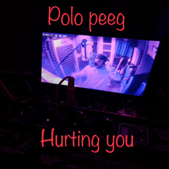 POLO PEEG