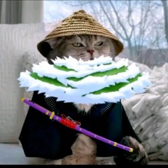 Mèo đặc cầu
