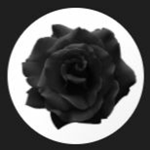 noir rvse’s avatar