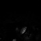 fadetosaturn