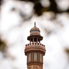 محمد