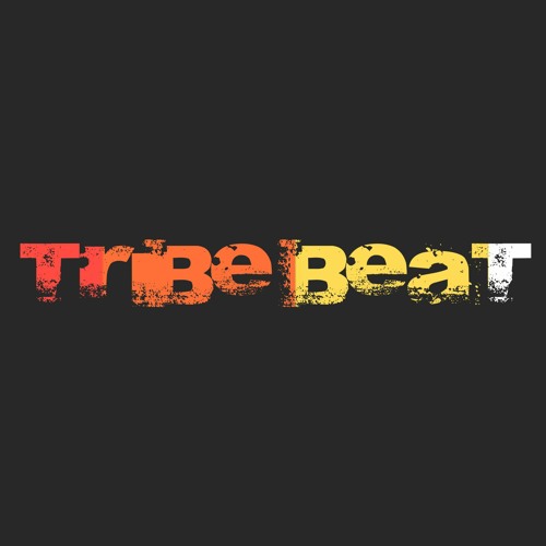 Tribe Beat 808 (Miranda Brothers)’s avatar