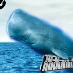 Whaley D