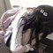 らみゅ