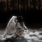whatlizeywants / cymmavsebolshe