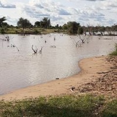 محمد محمود الطالب سيد