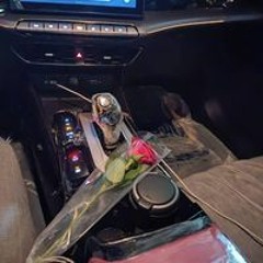 محمود الدهمان