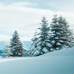 jérémie rosolowski