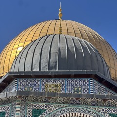 sam_sarsour2205