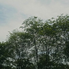 amdlwy