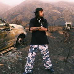 Chris Travis