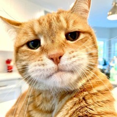 HARD TO THE BODY By Edgardo2075(2)