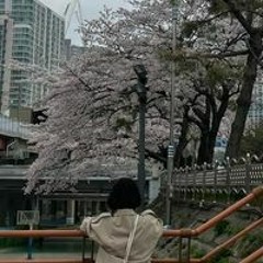 유빈