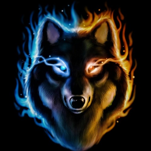 fire wolf