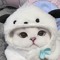 애끼룩냥이