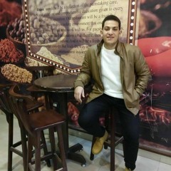 Amr Elsisi