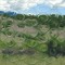 Araxxor
