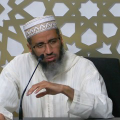 الشيخ محمد المصطفى الشيباني