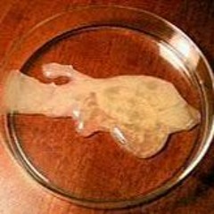 zajebiste nutki do walenia