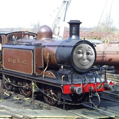 {BlueBird Productions}