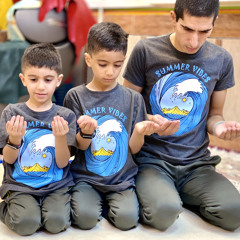 meisam hassanzadeh