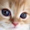 Hanaa_Salman61