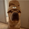CLAYDUJ