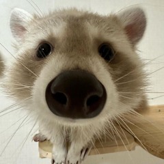 Tako