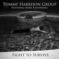 Tommy Harrison Group