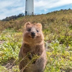 오성현