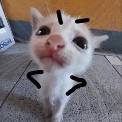 Chu Van Chien