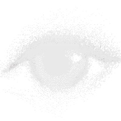 SCATTERBRAIN
