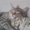 Tilly3008