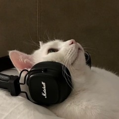 catforyourlove