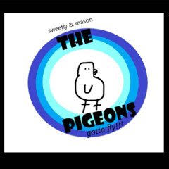 lil pigeon