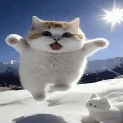 Команда Талантов