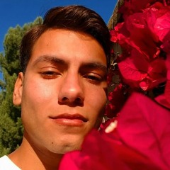 Amir Parvez 1
