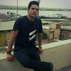 shahriar borhani
