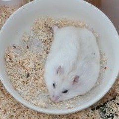한승학