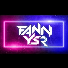FANN YSR V3