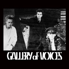 Gallery Of Voices