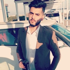 Hassanin Adel
