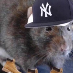 MOUSE GUAPO