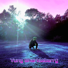 Yung Sharkleberry