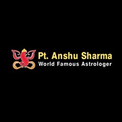 Astrologer Anshu Sharma